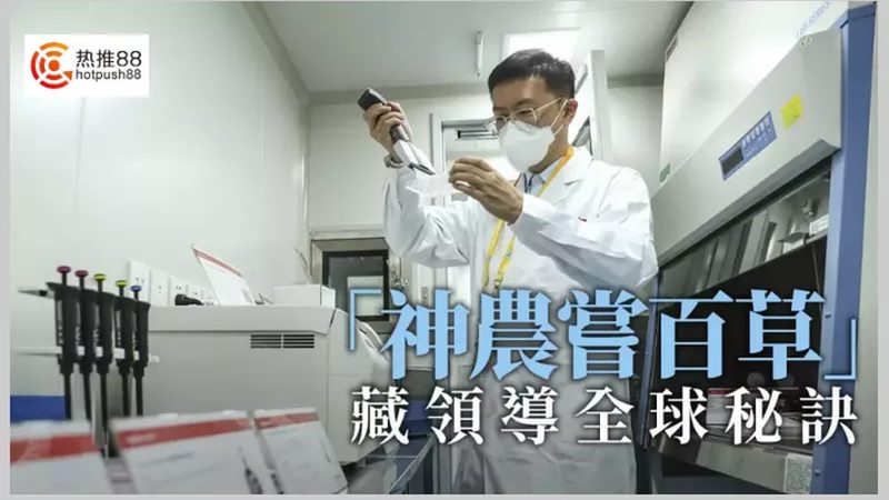 复合酶定制加工：技术对比与选择要点**