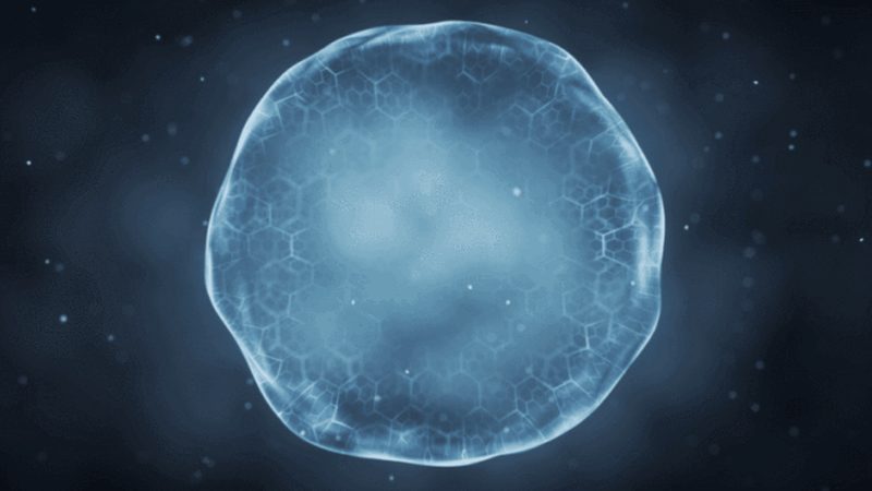 生物试剂批发，如何挑选性价比之选？**