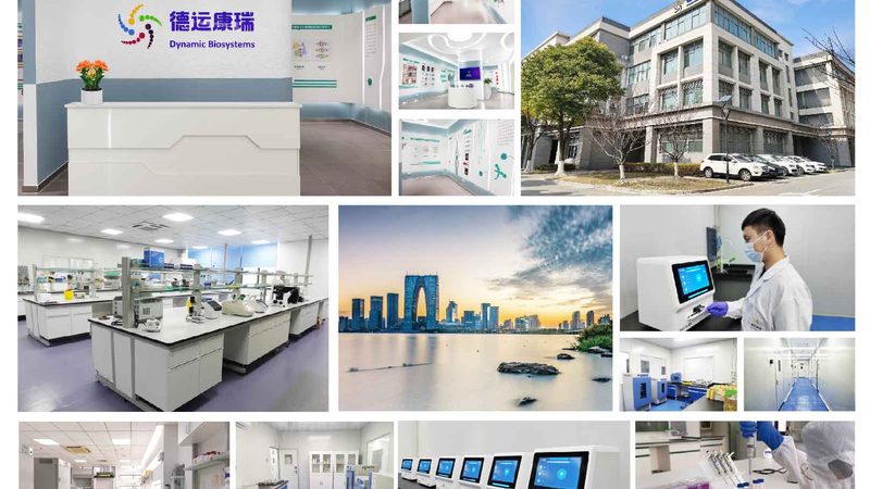 蛋白酶价格：如何选择合适的厂家与产品**