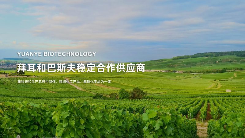 医用PCR检测试剂：揭秘其背后的技术奥秘**