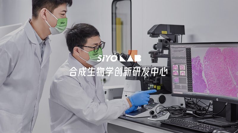 分子生物学试剂盒：操作流程解析与关键要点**