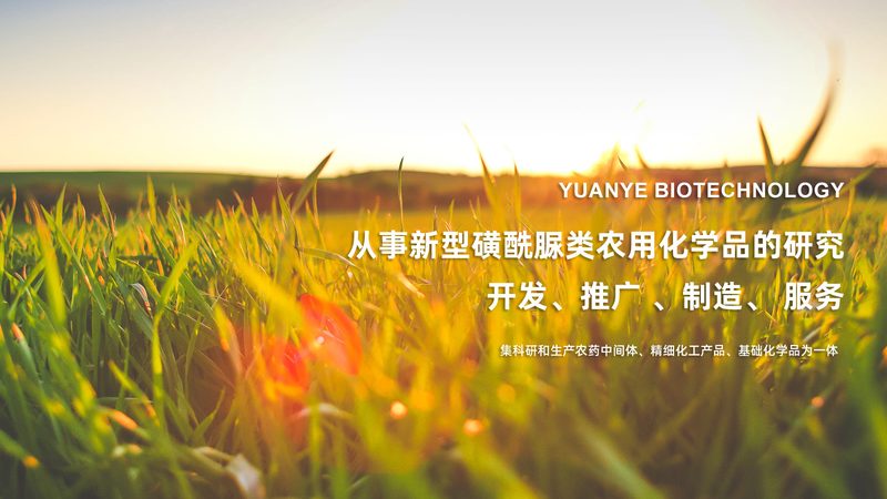 ADC药物CDMO综合报价：揭秘其构成与考量因素
