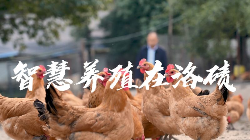 癌症基因检测流程步骤详解：从样本准备到结果解读